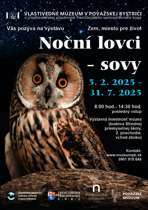 Noční lovci - sovy